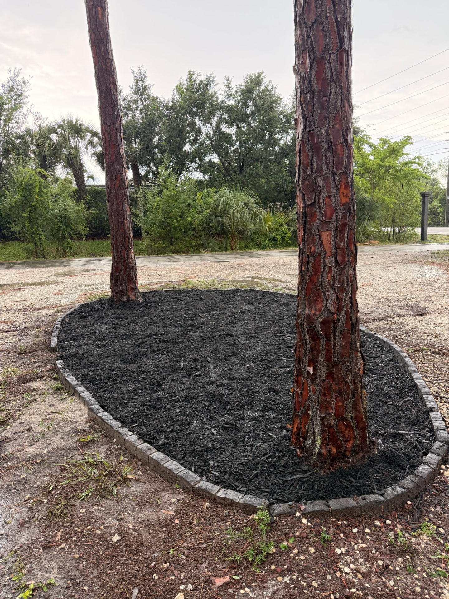 Mulching sample 4