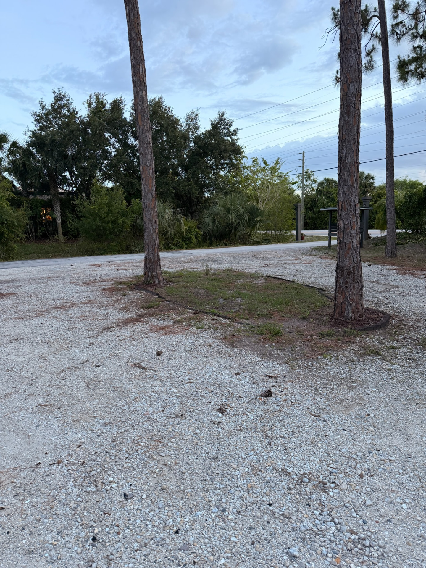 Before — Landscaping