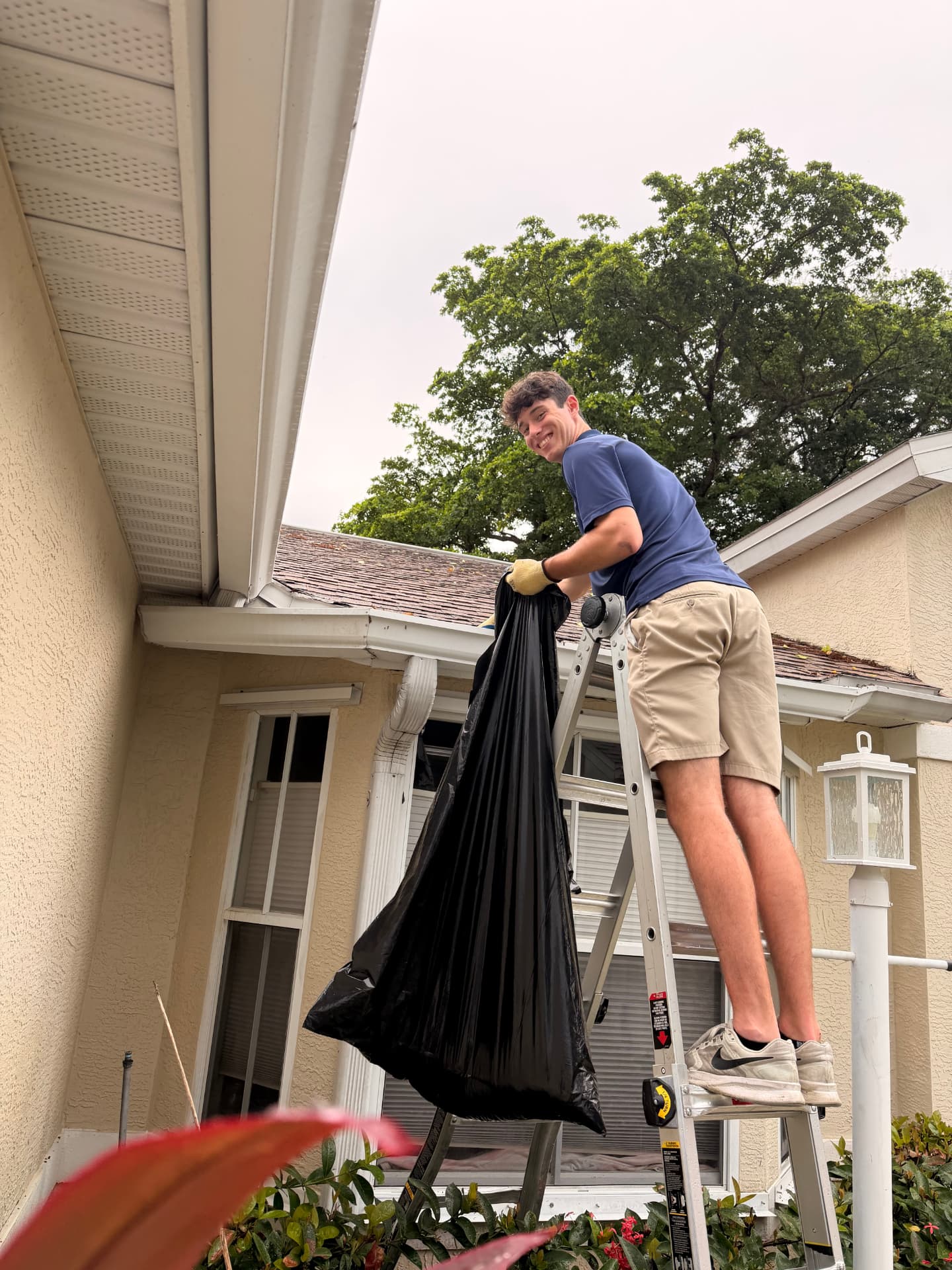 Gutter Cleaning sample 2