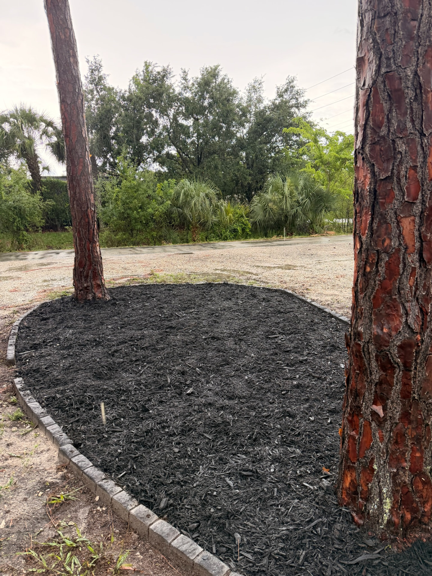 After — Landscaping