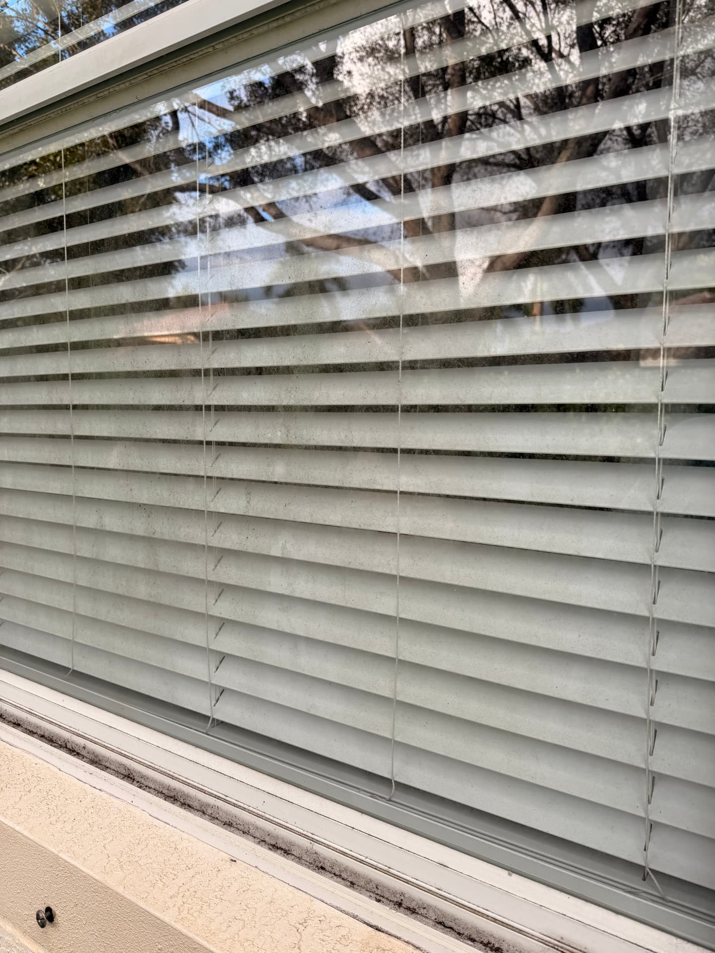 Before — Window Washing