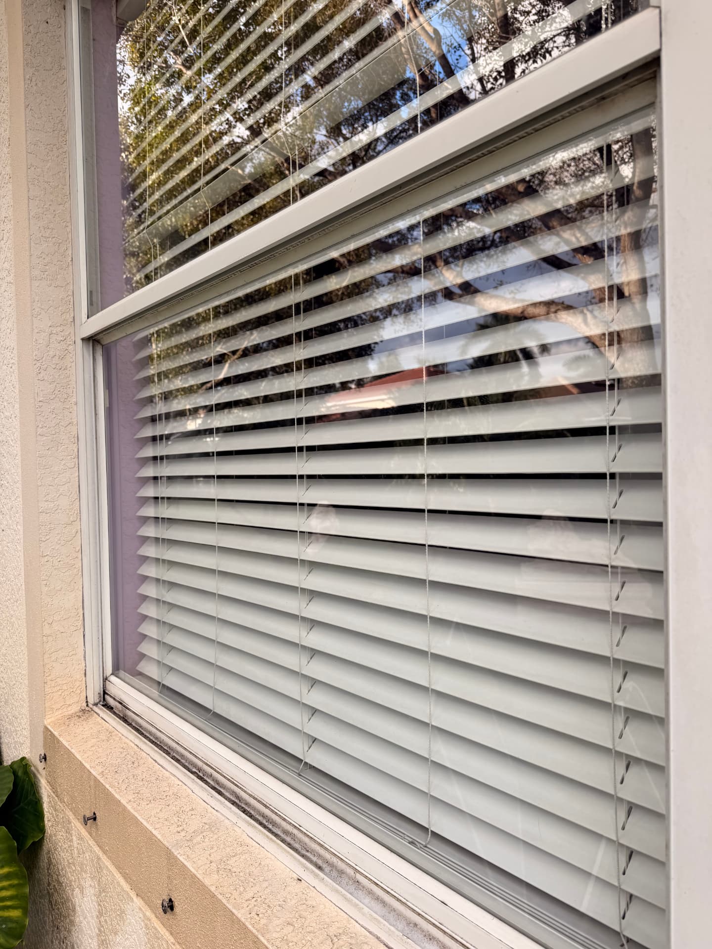 After — Window Washing