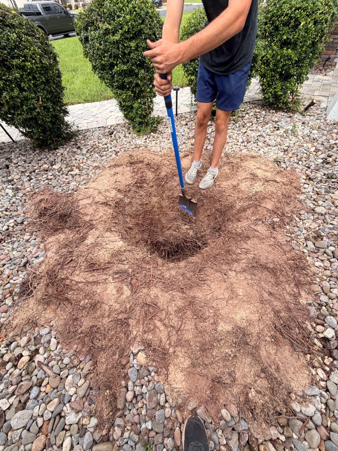 Landscaping sample 4