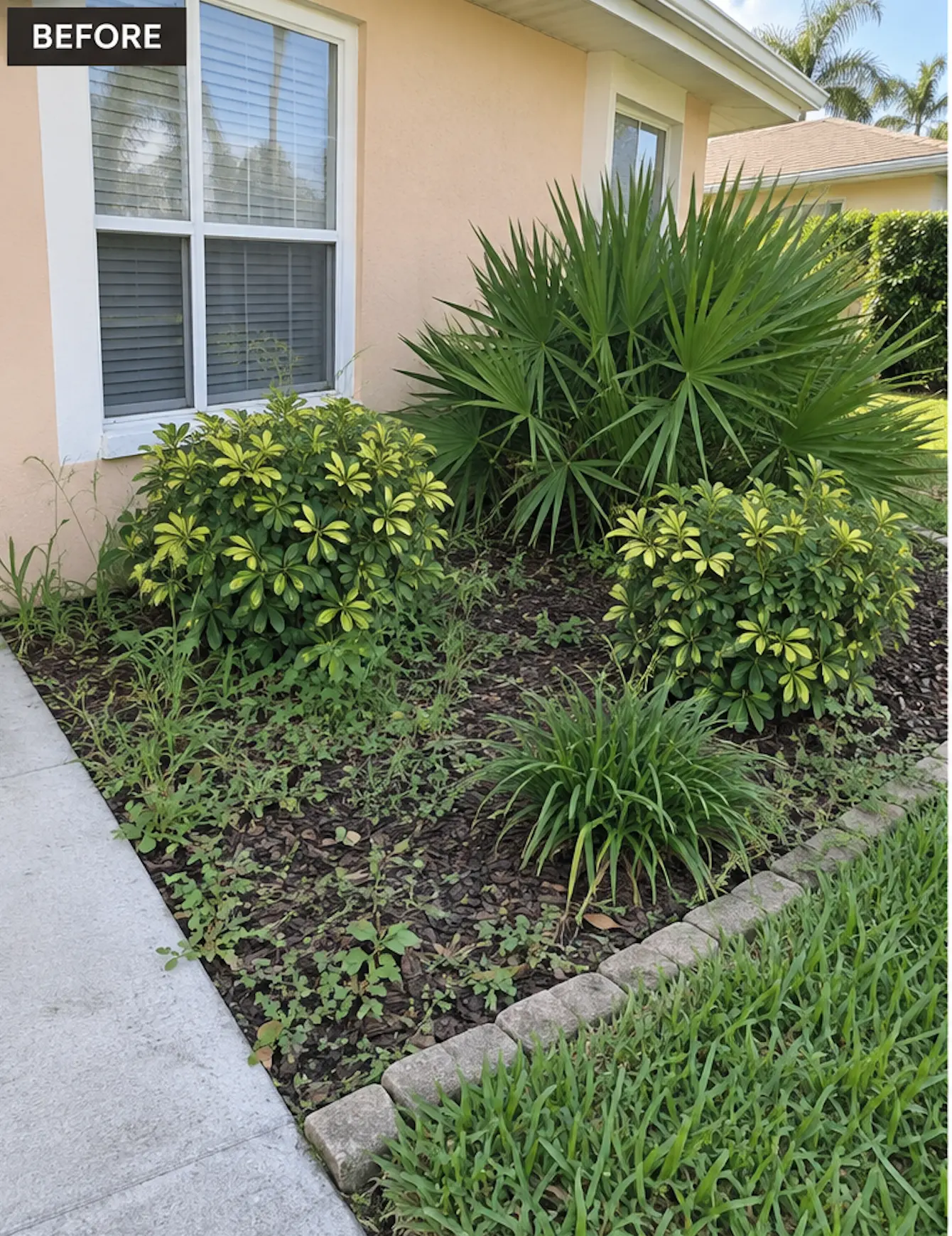 Before — Weeding