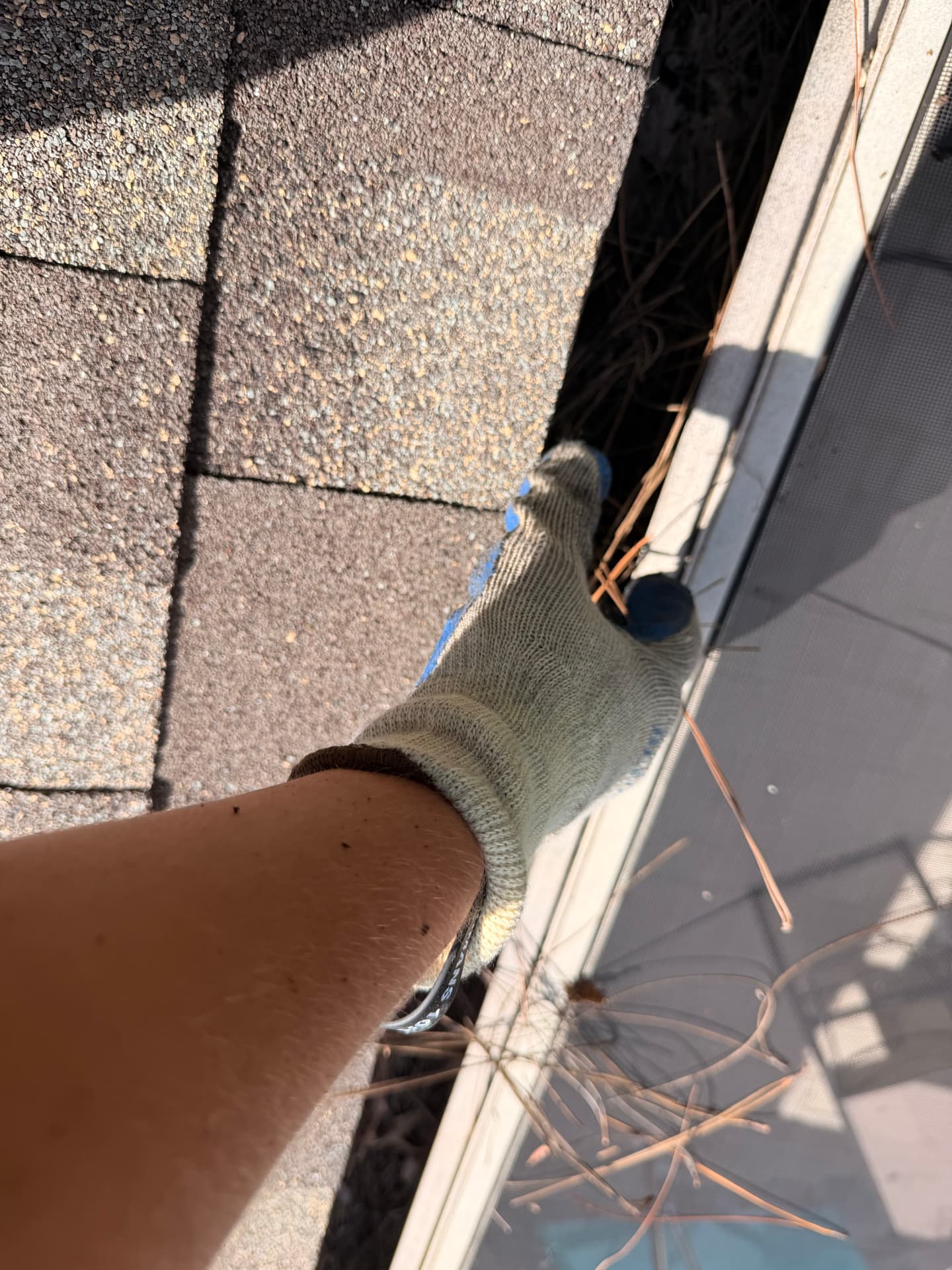 Gutter Cleaning sample 4