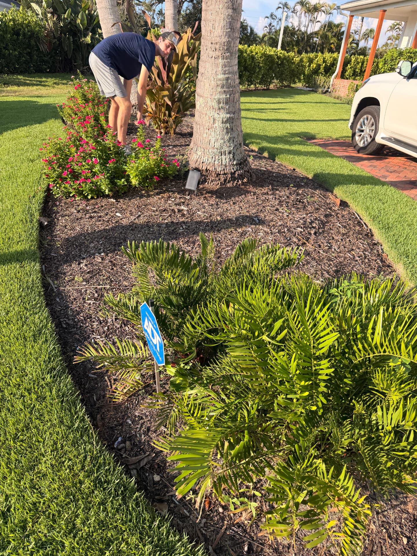 Before — Mulching