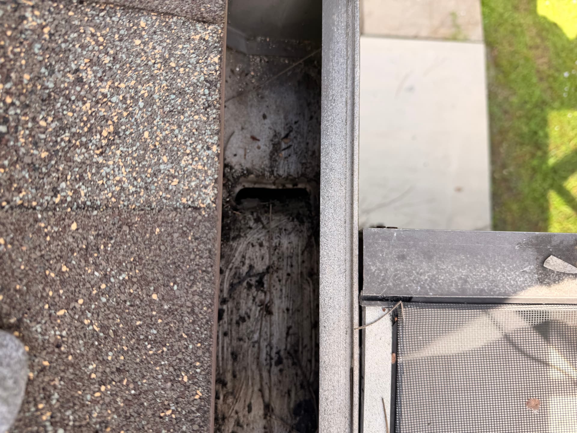 After — Gutter Cleaning