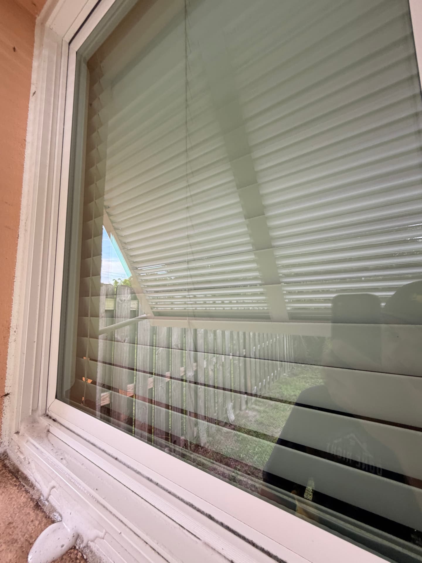 Window Washing sample 2