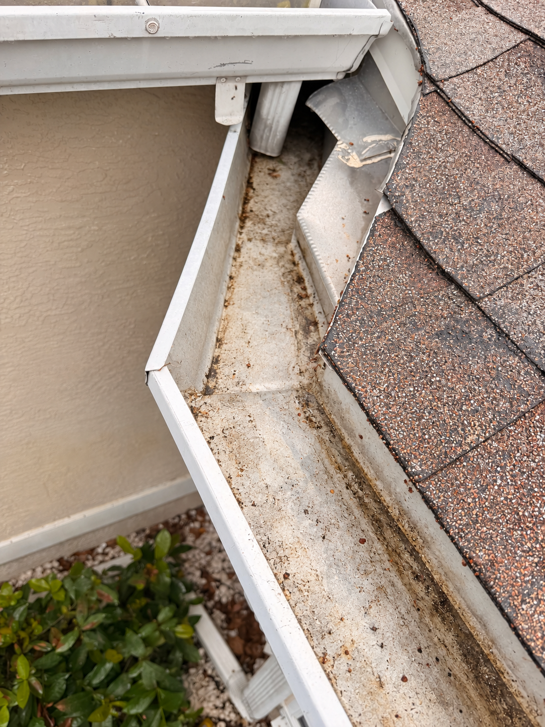 After — Gutter Cleaning