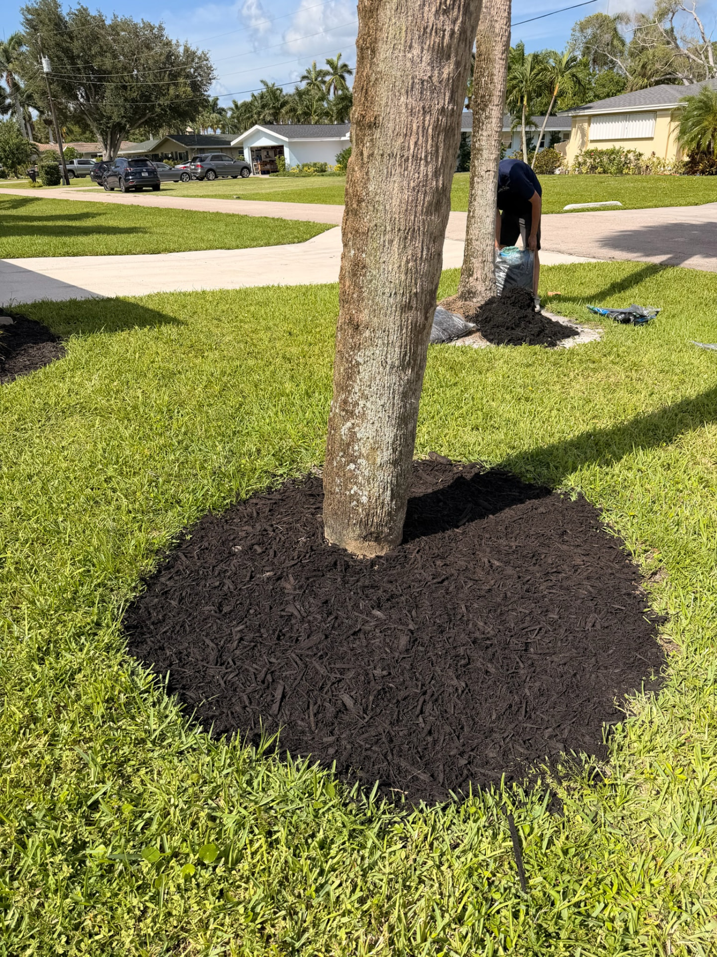 After — Mulching