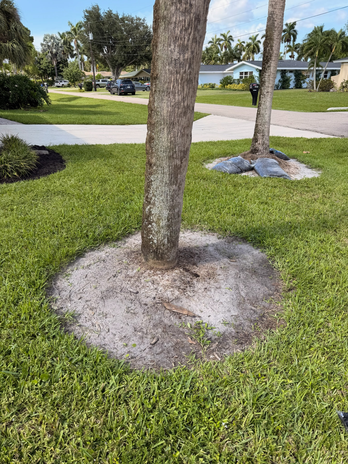 Before — Mulching