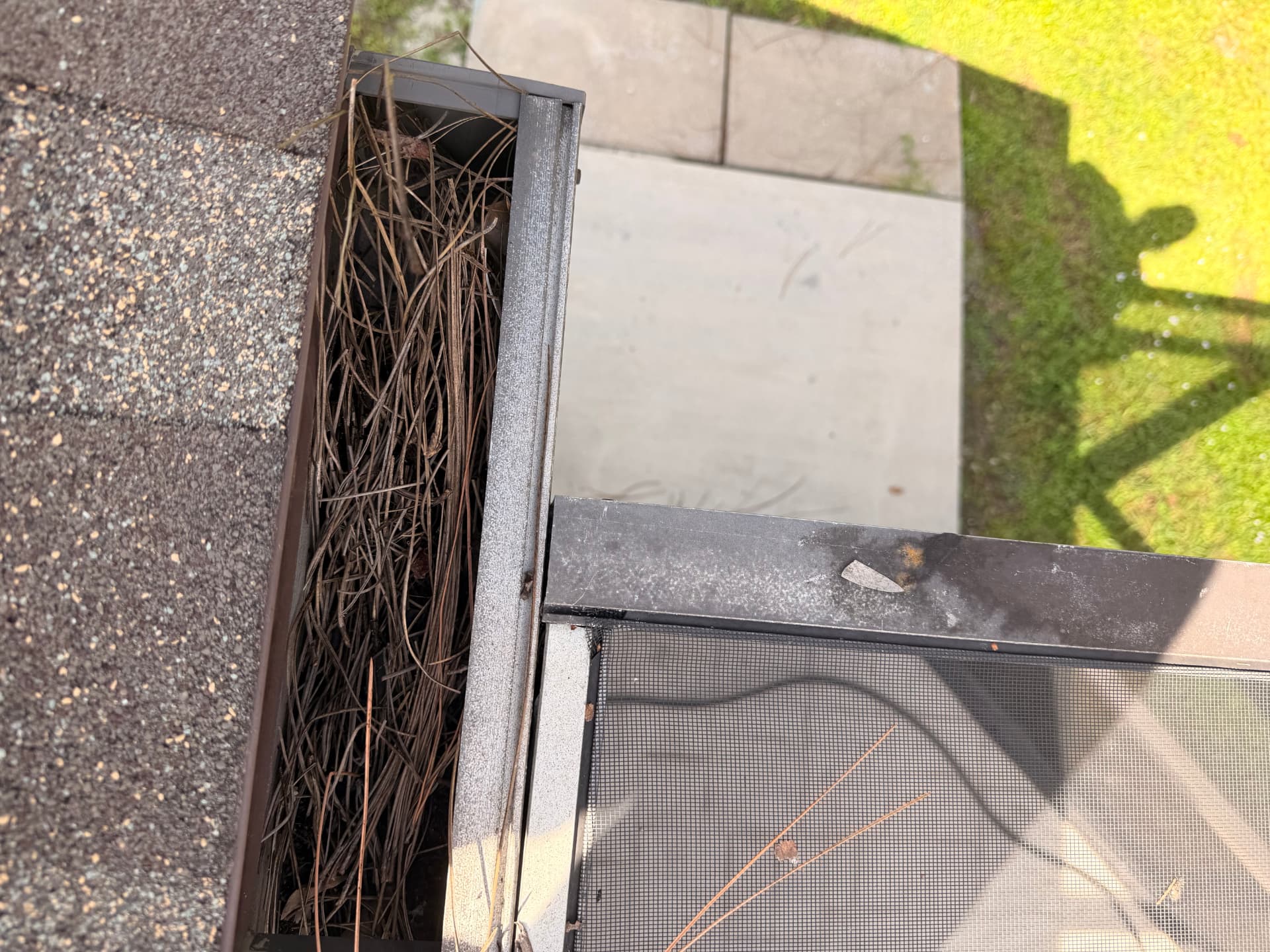 Before — Gutter Cleaning